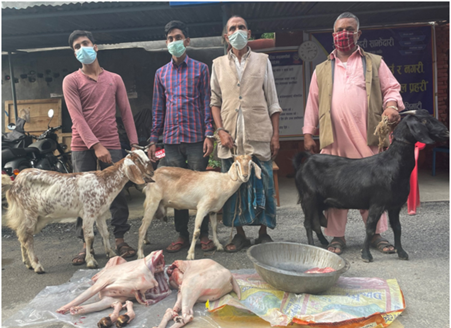 बाख्रीको मासु बिक्री गरेको आरोपमा ४ जना पक्राउ