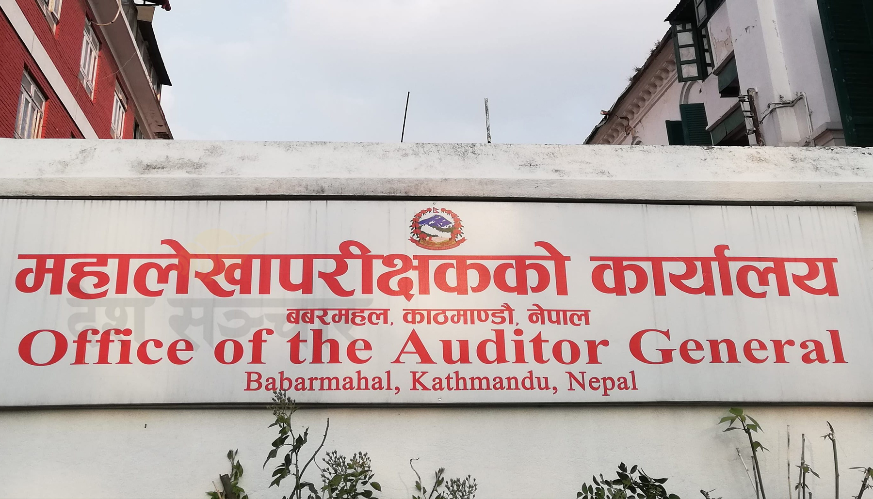सामाजिक सञ्जाललाई करको दायरामा ल्याउन महालेखाको सुझाव