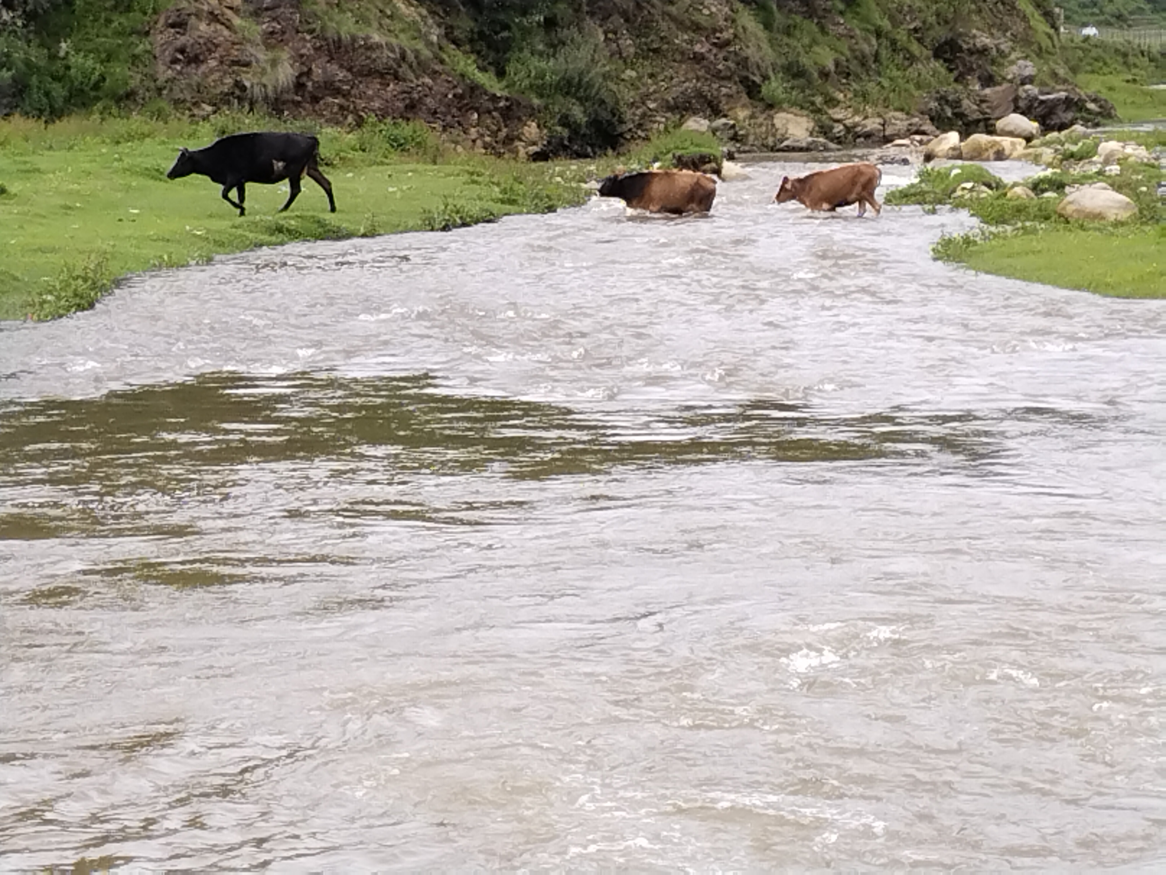 अबको ३ दिन मनसुन सक्रिय हुने, सतर्क रहन आग्रह