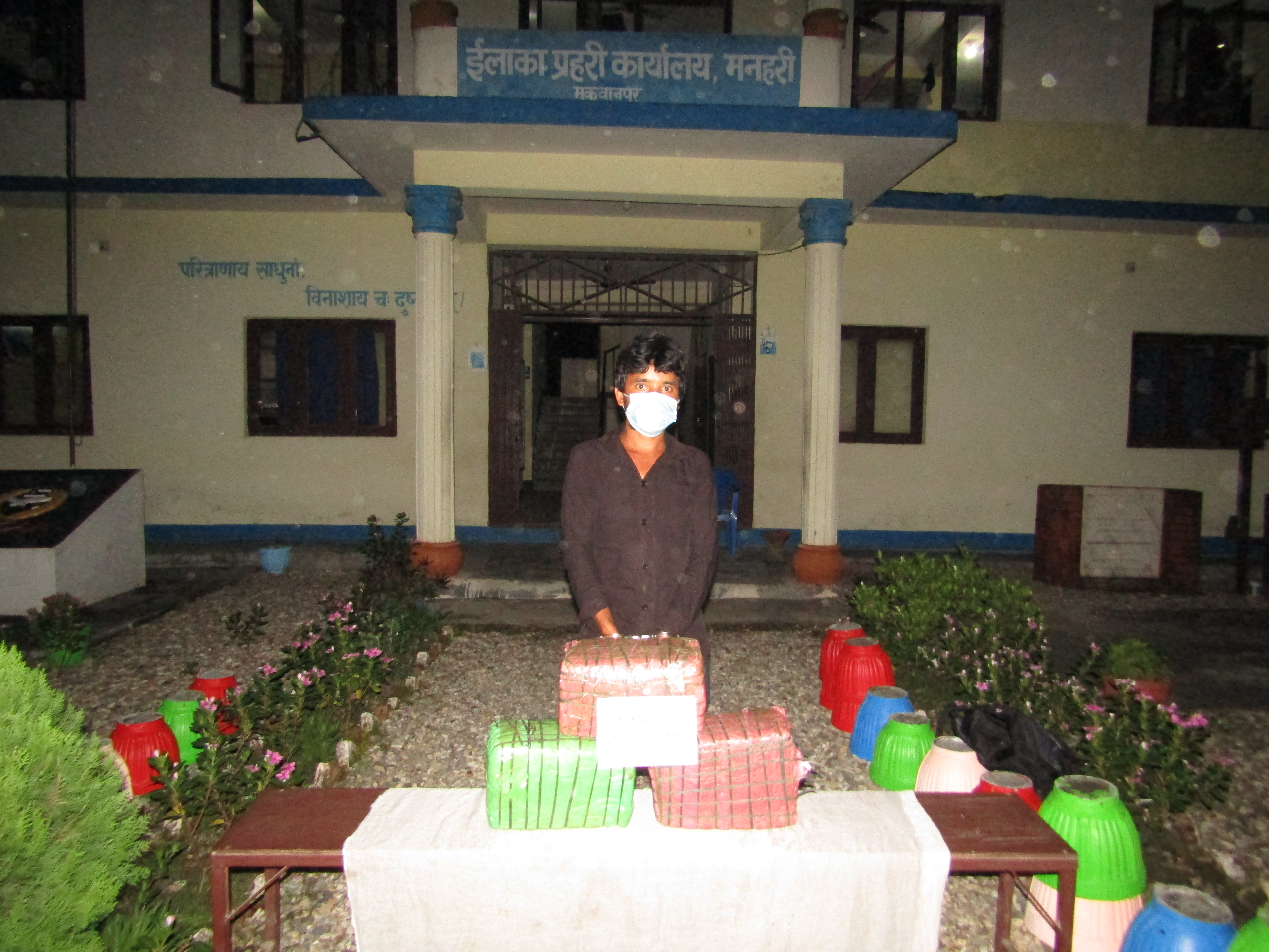 १५ किलो ९ सय ग्राम लागुऔषध गाँजासहित एक जना पक्राउ