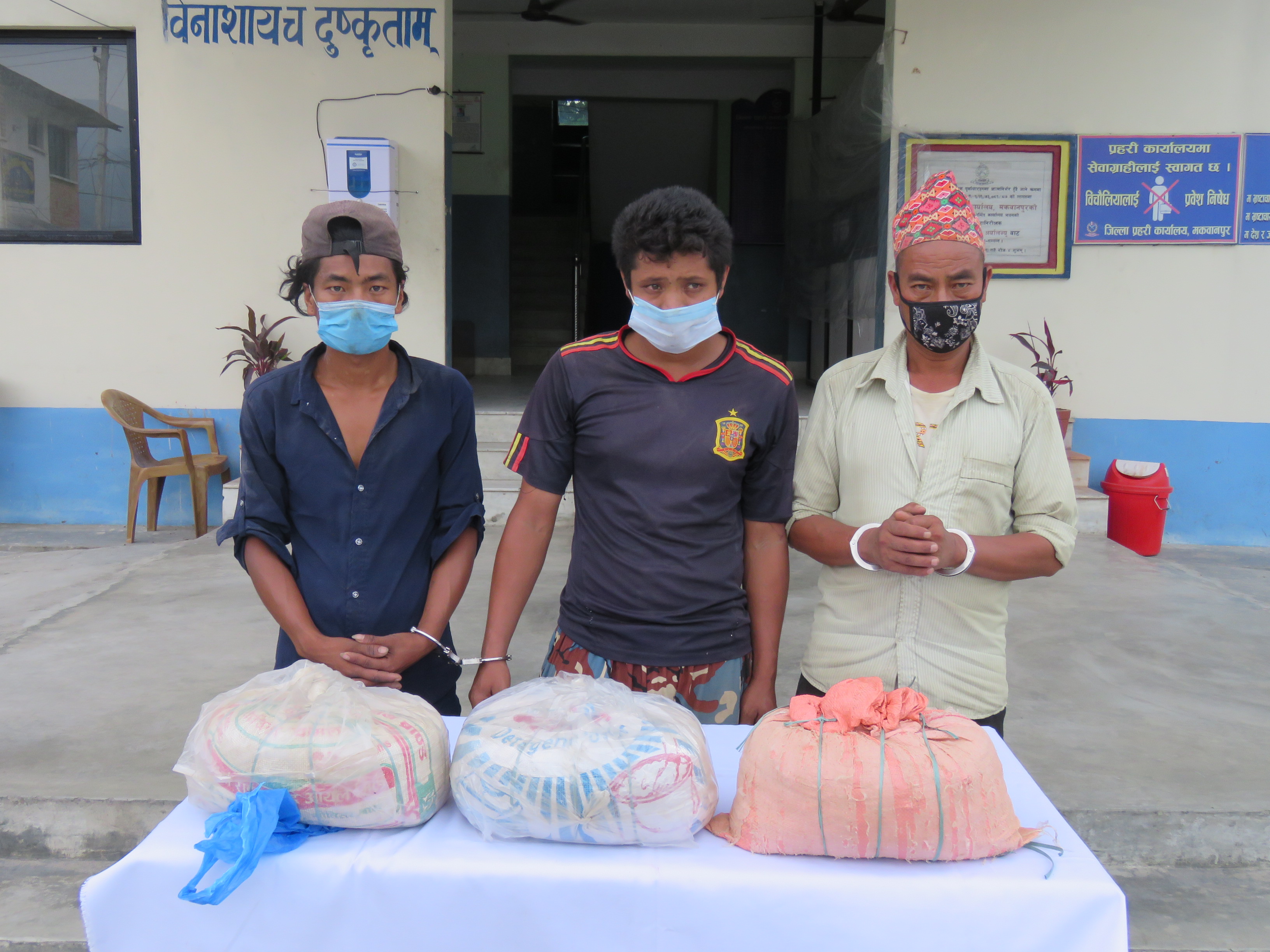 गाँजासहित कैलाशका तीनजना पक्राउ