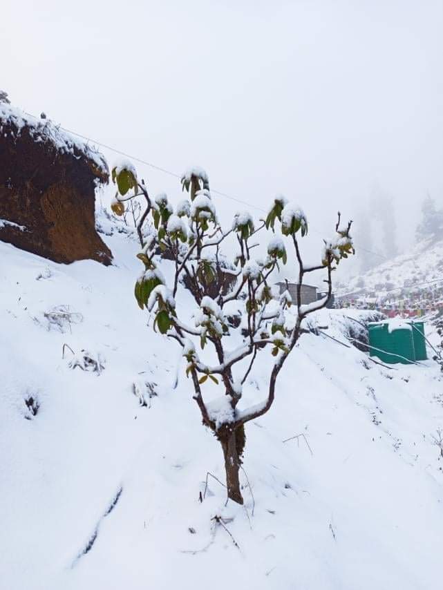 सिम्भञ्ज्याङमा फेरि हिउँ, दामनमा छैन